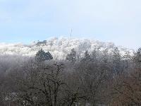 Bild 9424