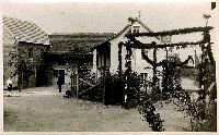 Bild 19465