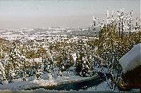 Bild 631