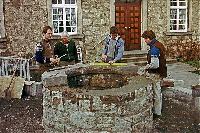 Bild 842