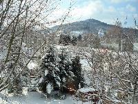 Bild 1076