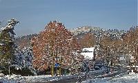 Bild 1492