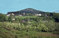 Bild 1524