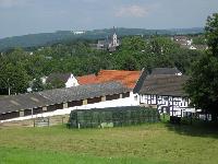 Bild 4466