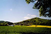 Bild 4490