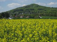 Bild 4853
