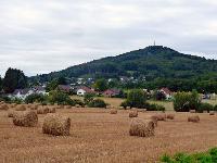 Bild 6019
