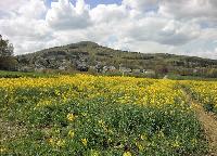 Bild 6440