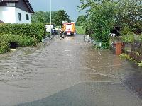 Bild 6464