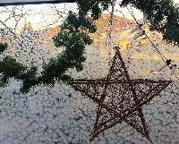Bild 6575