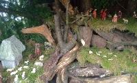 Bild 6361