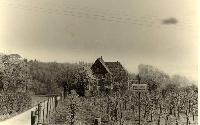 Bild 7715