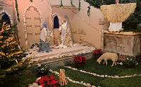 Bild 7904