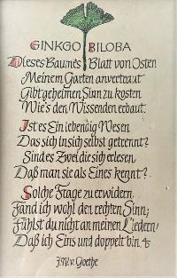 Bild 7936