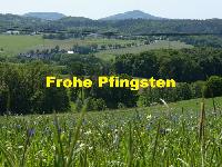 Bild 8448