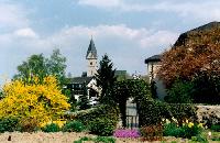 Bild 8484