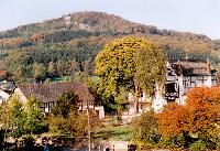 Bild 8491