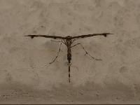 Bild 8562