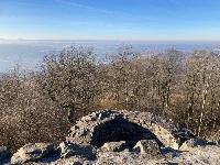 Bild 9423