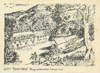 Bild 9544