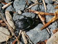 Bild 9737