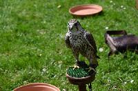 Bild 9749