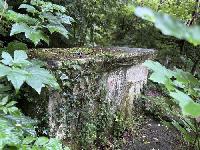 Bild 9945