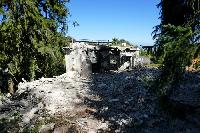 Bild 10451