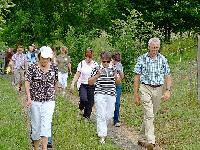 Bild 5347