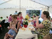 Bild 5357
