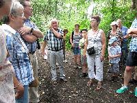 Bild 5381