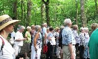 Bild 5382