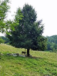 Bild 5385