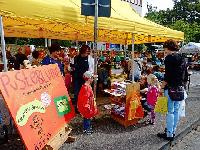 Bild 5515