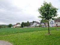 Bild 6569