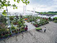 Bild 8969