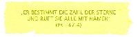 Bild 15696