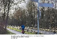 Bild 16885