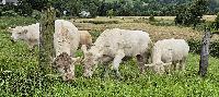 Bild 18015