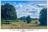 Bild 18109