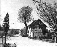 Bild 18383