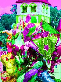 Bild 19479
