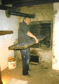 Bild 1294