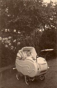 Bild 3355