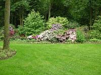 Bild 4419