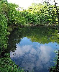 Bild 4425