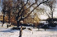 Bild 5509