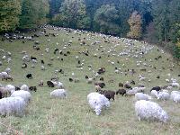 Bild 7803