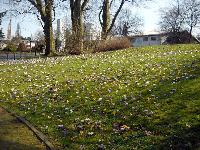 Bild 7985