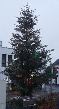 Bild 8408
